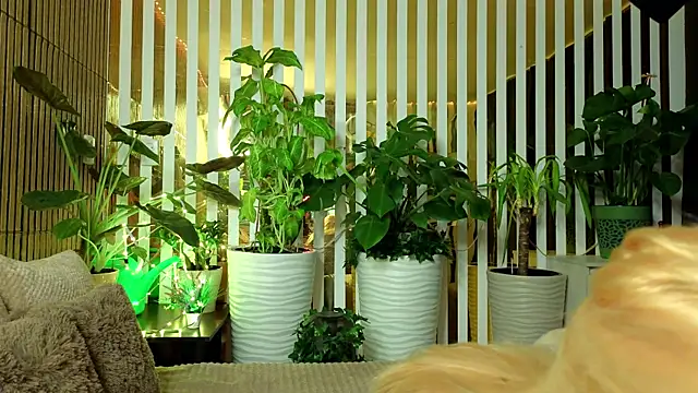 FlowweerGirl online show from 12/15/25, 09:41