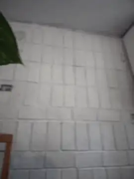 LuXarumi online show from 12/16/25, 07:52