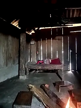 ava-dellght online show from 01/07/26, 02:14