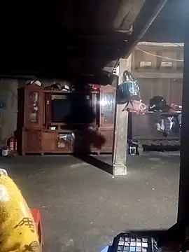 ava-dellght online show from 02/04/26, 02:28