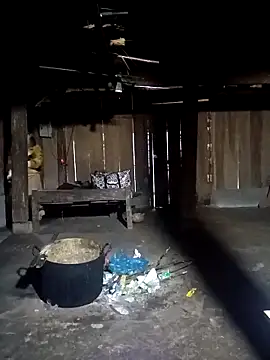 ava-dellght online show from 02/08/26, 02:15