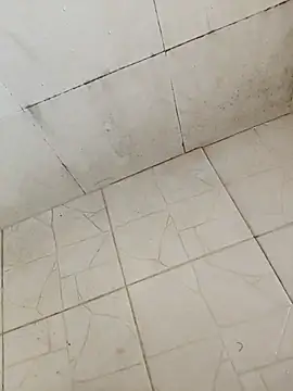 BoyMuslimTelugu online show from 12/17/25, 05:24