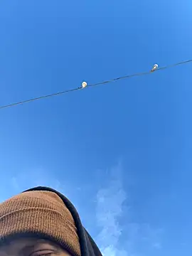 Big German cock974 online show from 12/21/25, 01:40