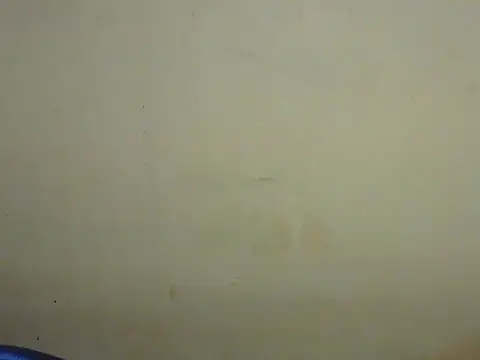 Exotic tanvi online show from 02/19/26, 04:14