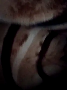 pihuu1313 online show from 02/09/26, 03:21