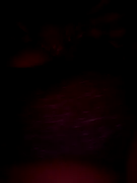 pihuu1313 online show from 02/20/26, 07:58