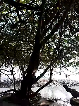 Andreskelly online show from 02/13/26, 09:22