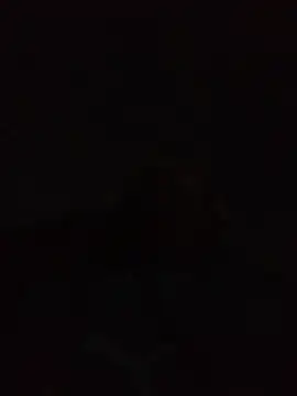 Andreskelly online show from 04/22/26, 12:35