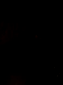 nehakapoor89 online show from 12/14/25, 07:40