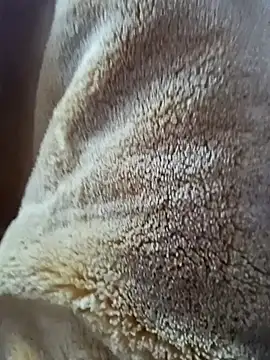 AR7v online show from 12/15/25, 09:24