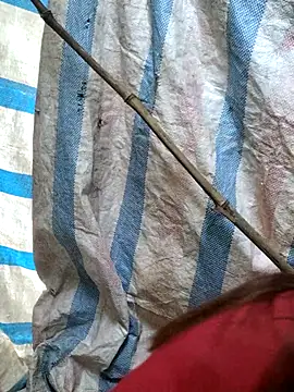 Snapshot of mit0-77 chatting on 02/15/26, 12:51 mit0-77 online show from 02/15/26, 12:51