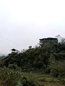 Snapshot of neko-nancy chatting on 01/07/26, 07:55 neko-nancy online show from 01/07/26, 07:55