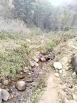 Snapshot of neko-nancy chatting on 01/14/26, 02:50 neko-nancy online show from 01/14/26, 02:50