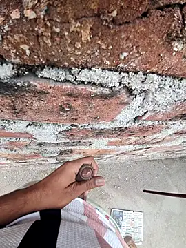 SHAKIVVVV online show from 12/18/25, 09:48