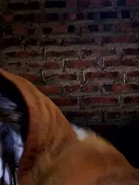 Snapshot of yana-zz chatting on 01/13/26, 12:27 yana-zz online show from 01/13/26, 12:27