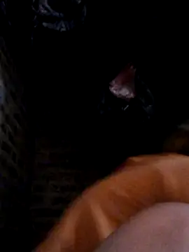 yana-zz online show from 03/28/26, 01:38