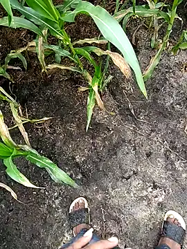 Snapshot of loki-king-143 chatting on 02/24/26, 03:59 loki-king-143 online show from 02/24/26, 03:59