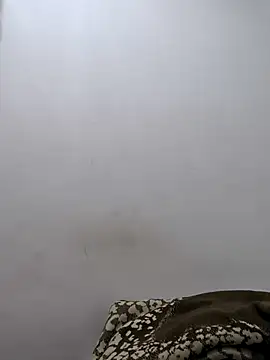 Snapshot of twinkarabboy chatting on 02/17/26, 11:29 twinkarabboy online show from 02/17/26, 11:29