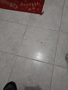 Mar81 online show from 01/12/26, 06:07