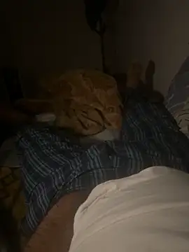 Night outcam online show from 02/17/26, 07:20