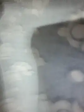 saxy bhabi 2002 online show from 01/19/26, 12:42