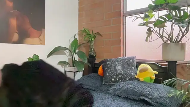 Andy Belier23 online show from 02/20/26, 11:54