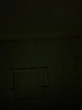 reckless 34 online show from 02/07/26, 11:52