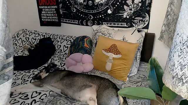 AlienforTwenty online show from 02/26/26, 08:57