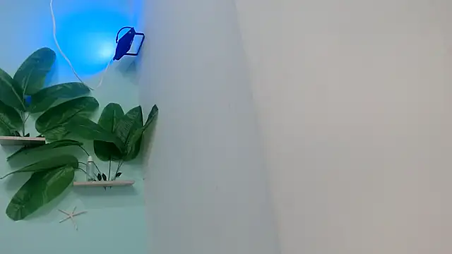 NOVAHOT98 online show from 01/12/26, 05:51