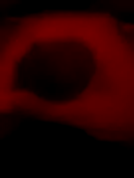 DaveeeIsTheone online show from 01/06/26, 12:14