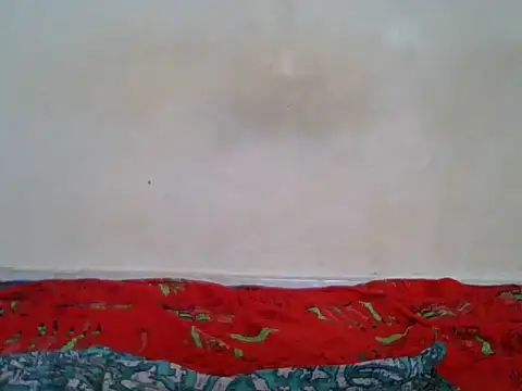 Snapshot of BaddestBitchee chatting on 04/27/26, 02:15 BaddestBitchee online show from 04/27/26, 02:15