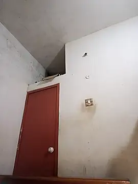 tamilsaisree online show from 04/09/26, 05:29