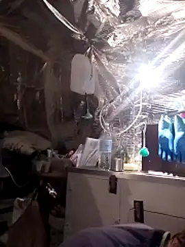 Quebec46 online show from 04/14/26, 09:37