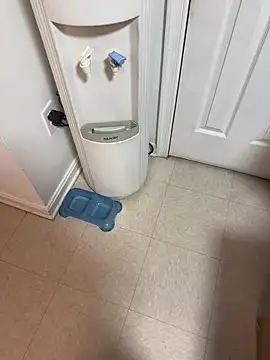 tigre6911 online show from 12/16/25, 09:36