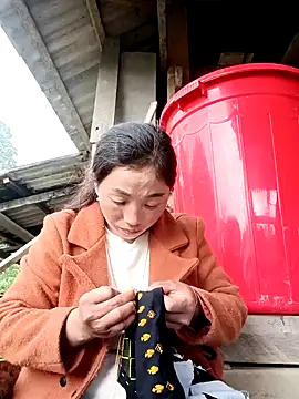 seacyre online show from 12/23/25, 01:36