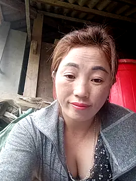 seacyre online show from 03/17/26, 12:26