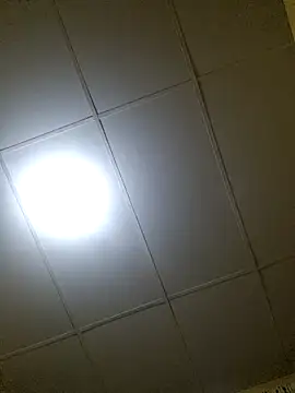 thebruvisacoolsoul online show from 12/20/25, 01:56