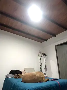 Perfect match19 online show from 12/22/25, 11:24