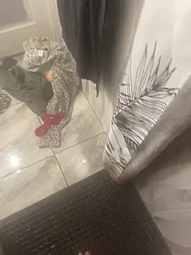 Miguel 667 online show from 02/09/26, 11:25