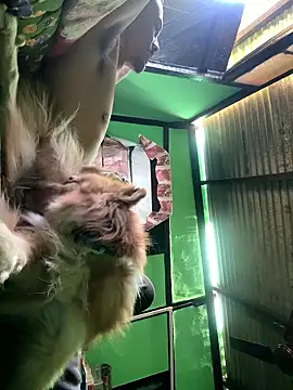 Fixvyusv online show from 01/12/26, 05:12