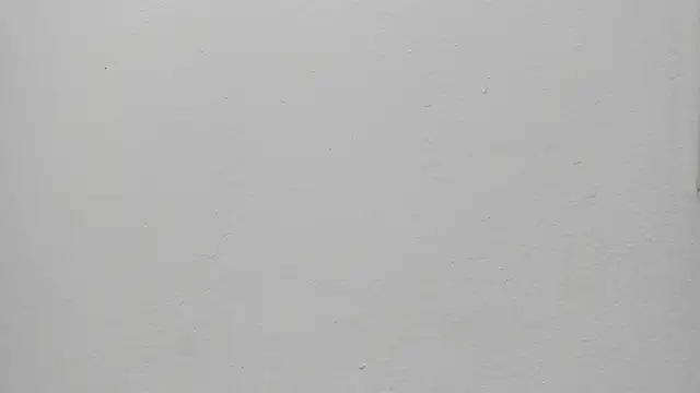 ariloe quintero online show from 03/30/26, 01:34