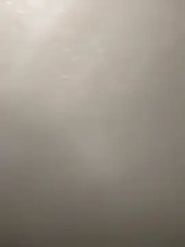 Camellia-Pink online show from 03/16/26, 06:17