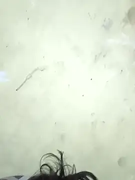 vishalk12346 online show from 01/08/26, 05:48