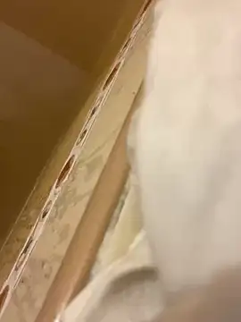 baby young online show from 03/06/26, 11:34