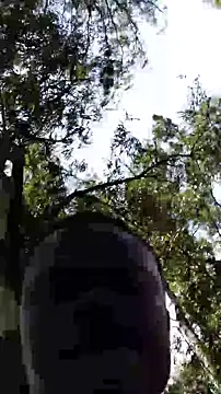 TheVersCouple online show from 01/15/26, 11:26