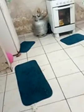 xxxxbucetuda  online show from 12/19/25, 03:52