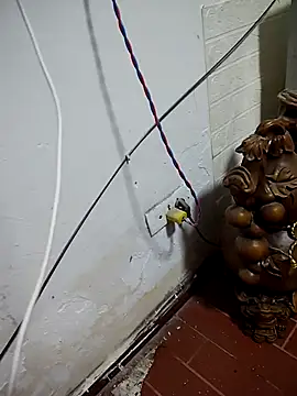 Snapshot of thobaby99 chatting on 01/09/26, 07:55 thobaby99 online show from 01/09/26, 07:55