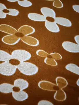 sweety 1433 online show from 01/07/26, 08:06