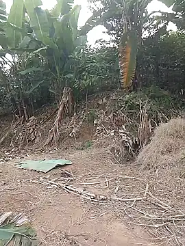 Menlike69 online show from 01/11/26, 02:27