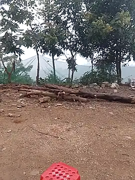 Menlike69 online show from 01/15/26, 01:43